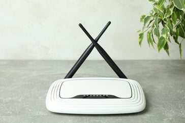 wi-fi-router-and-plant-on-gray-textured-table-2021-09-03-23-05-15-utc
